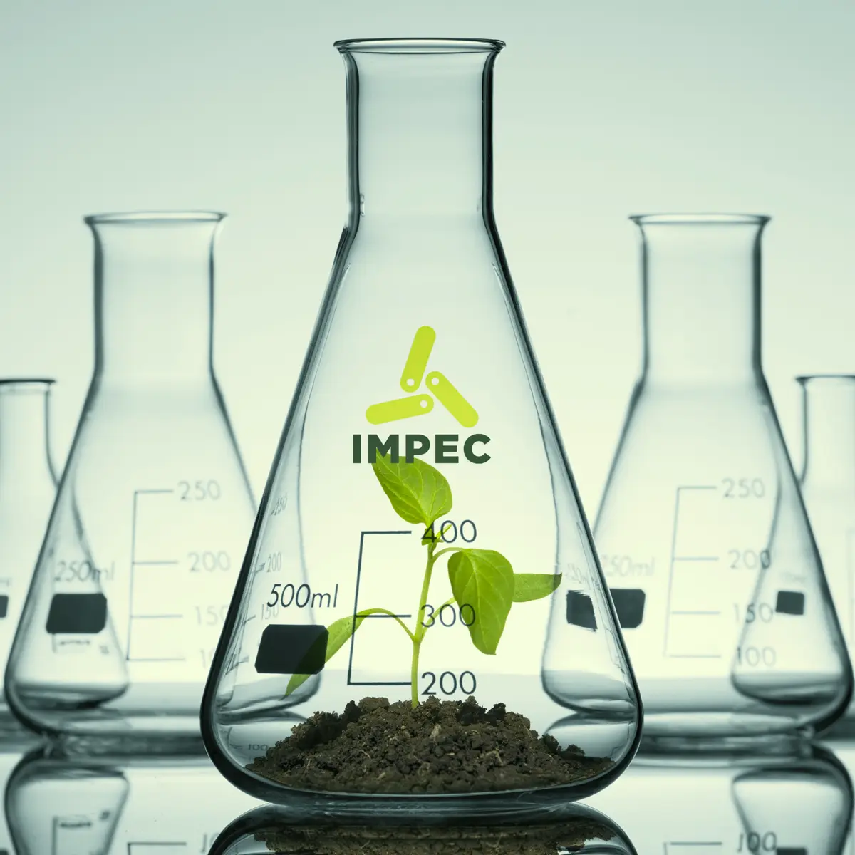 IMPEC: More Than a New Logo
